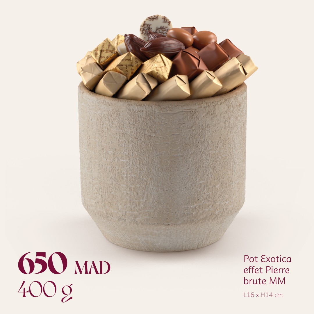 Pot Exotica effet Pierre brute